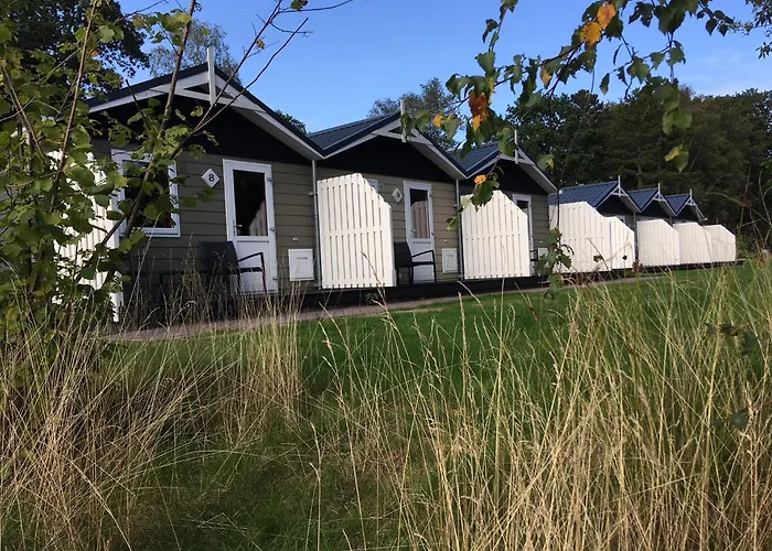 Vakantiepark Witterzomer Assen